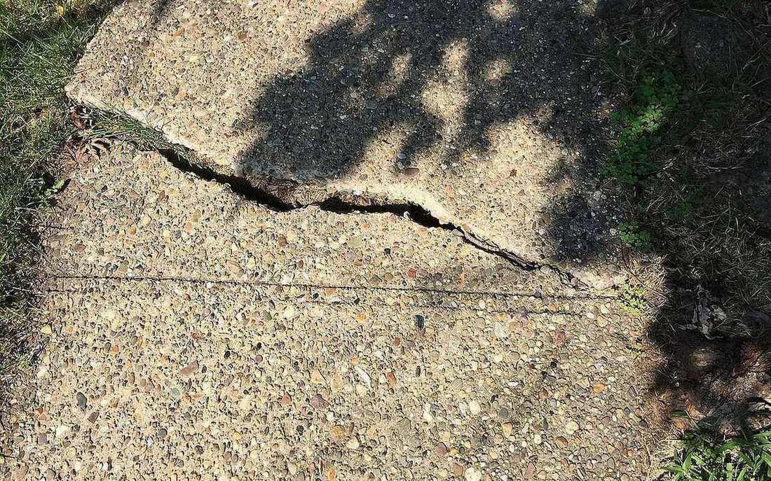 Weathered concrete surface showing freeze-thaw wear